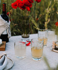 Lot de 6 Long drink LIBELLULES  - transparent