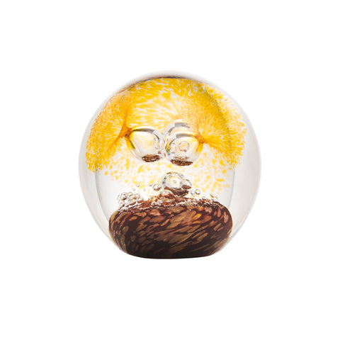 Presse-papier marron RIVAGES  - transparent, jaune et marron