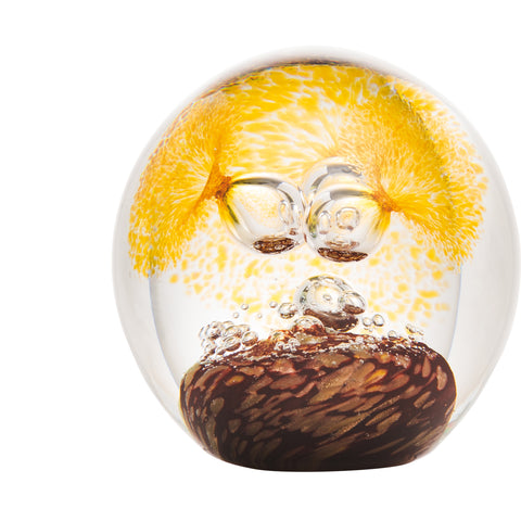 Presse-papier marron RIVAGES  - transparent, jaune et marron